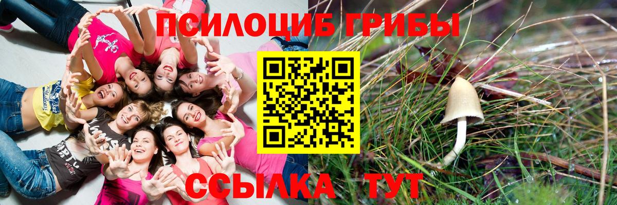 Псилоцибиновые грибы Psilocybine cubensis  Вход с VPN  Алушта 